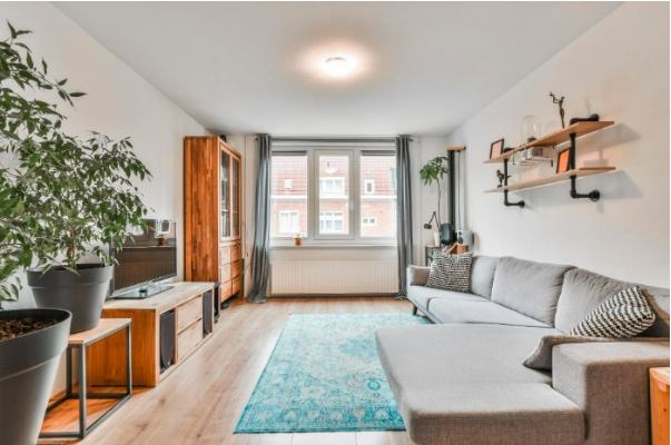 Amenajare garsoniera - canapea, plante, fereastra, covor albastru - led-zone.ro