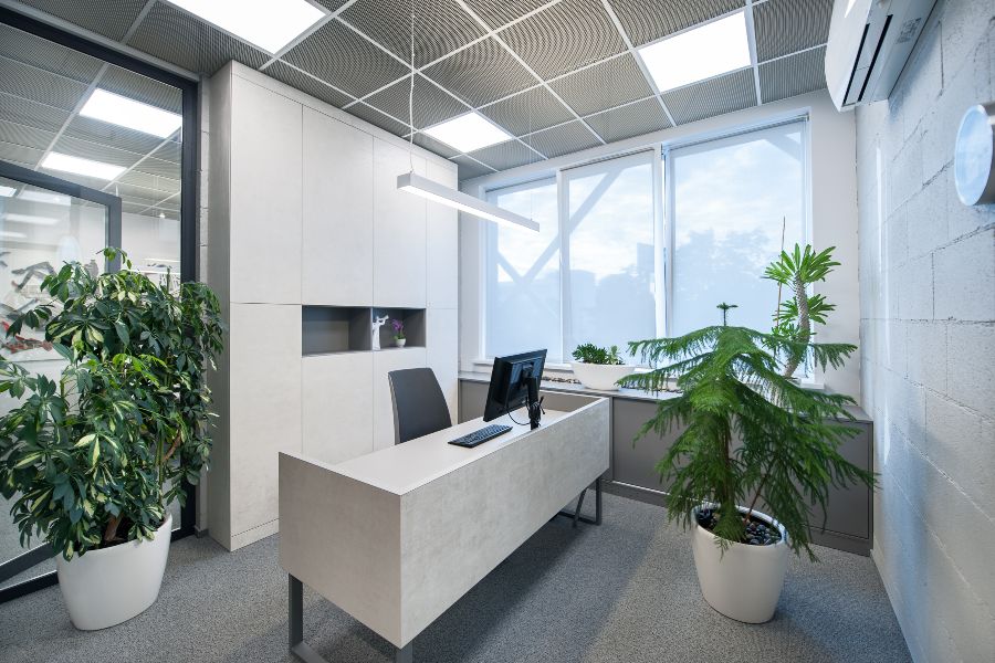 Temperatura luminii - Birou, mobilier, obiecte ornamentale, plante, becuri LED, led-zone.ro