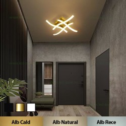 Aplica LED 28W 3 Functii LZ9321