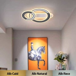Aplica LED 38W 3 Functii LZ3919