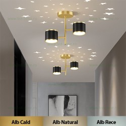 Aplica LED 14W 3 Functii LZ9105