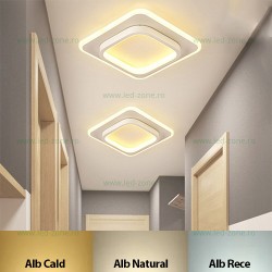 Aplica LED 24W 3 Functii LZ7506
