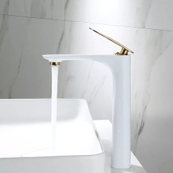 Baterie Lavoar Inalta Alb-Auriu LZ011