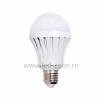 Bec LED E27 12W Glob Mat Plastic