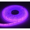 Banda LED 2835 120 SMD/ML Magenta Silicon 12V