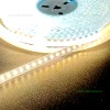 Banda LED 2835 120 SMD/ML CCT Interior Silicon 220V Rola 10m
