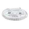 Banda LED 5050 30 SMD/ML RGB+W Interior 24V