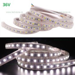 Banda LED 5050 60 SMD/ML Furtun Silicon 36V