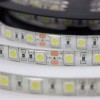 Banda LED 5054 60 SMD/ML Silicon 24V Premium