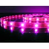 Banda LED 5050 30 SMD/ML RGB Submersibila 12V