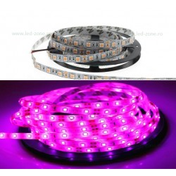 Banda LED 5050 60 SMD/ML Interior Magenta 12V