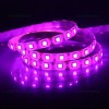 Banda LED 5050 60 SMD/ML Silicon Magenta 12V