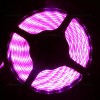 Banda LED 5050 60 SMD/ML Silicon Magenta 12V
