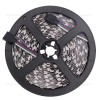 Banda LED 5025 120 SMD/ML Interior Dual White CCT 12V