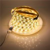 Banda LED 5025 120 SMD/ML Interior Dual White CCT 12V