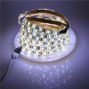 Banda LED 5025 120 SMD/ML Interior Dual White CCT 12V