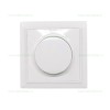Variator LED 100W 