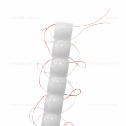 Set 20 Module LED COB cu Lupa Glob Mat 12V