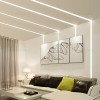 Profil Aluminiu Incastrat Sub Tencuiala 2M 12MM