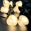 Ghirlanda 5M cu 10 Becuri LED IP65 Suspendate