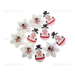 Instalatie LED Perdea Diverse Culori 3x0.7m LZ9058