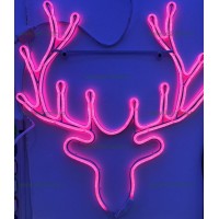 INSTALATII LED EXTERIOR, Black Friday - Instalatie LED Exterior Neonflex Ren 50cm, LED-Zone.ro