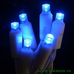 Instalatie LED Pom Craciun 50 Leduri Exterior