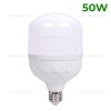 Bec LED E27 50W Dispersor Mat Plastic