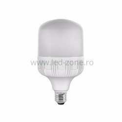 Bec LED E27 30W Dispersor Mat Plastic