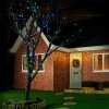 Instalatie Pom Craciun 100 LED-uri Exterior Flash Fir Negru Cauciucat