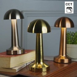 Lampa de Masa LED Dimabila 2W CCT TOUCH AVIVA