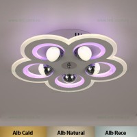 LUSTRE LED APLICATE, Black Friday - Lustra LED 146W 3 Functii RGB Smart Dimabila cu Telecomanda LZ5181-450, LED-Zone.ro