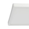 Plafonieră ARGOLIS 2 LED 20.5W 900279