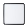 Plafonieră ARGOLIS 2 LED 20.5W 900281