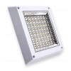 Plafoniera LED 16W Patrata Dispersor Clar 