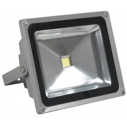 Proiector LED 50W 220V Clasic