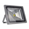Proiector LED 50W 220V Clasic