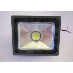 Proiector LED 50W 220V Lupa