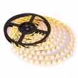 BENZI LED 12V