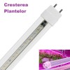 Tub LED T8 Clar 120cm 16W Sticla Cresterea Plantelor