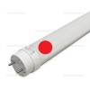 Tub LED T8 Mat 10W 60cm Sticla Color 