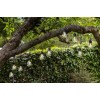 Ghirlandă luminoasă eXterior LIBISA LED 10X0.06W IP44 900299