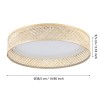 Plafonieră LUPPINERIA LED 20W 900464