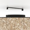 Plafonieră BUTTERBURN E27 25W 43935