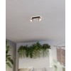 Aplică / Plafonieră ROSLEY 2XE14 IP20 43657
