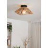 Plafonieră LAVISTER E27 1X60W IP20 Ø390mm 44071