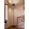 Lampadar FIORANA E14 1X7.5W 1405mm 901111