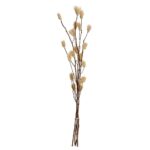 Floare uscată SENNETERRE 428169