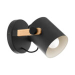 Aplica 1 Soclu E27 HORNWOOD
