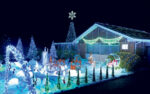 Instalatie LED Pom Craciun 50 Leduri Exterior - imagine 2